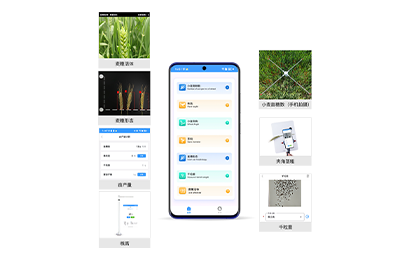 嘉义市小麦表型检测仪IN-XM04